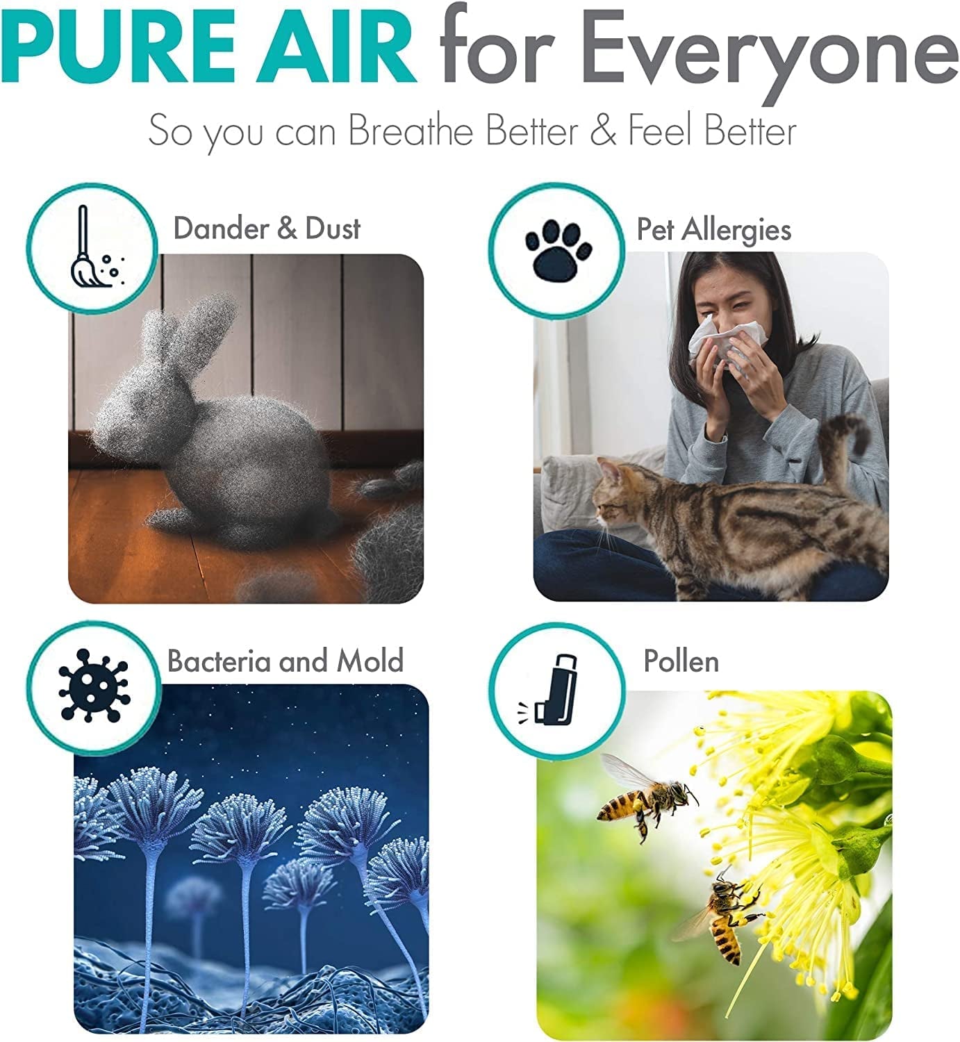 Air Purifier Breathesmart Flex HEPA With Voc/Smoke Filter