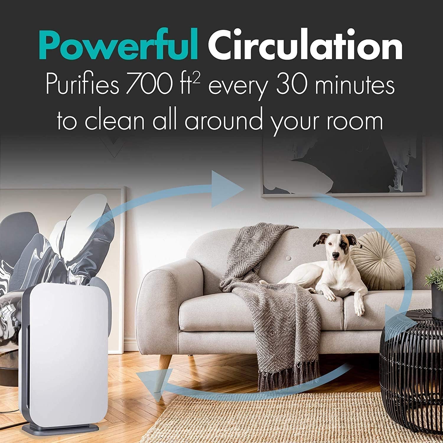 Air Purifier Breathesmart Flex HEPA with Fresh Filter + Carbon
