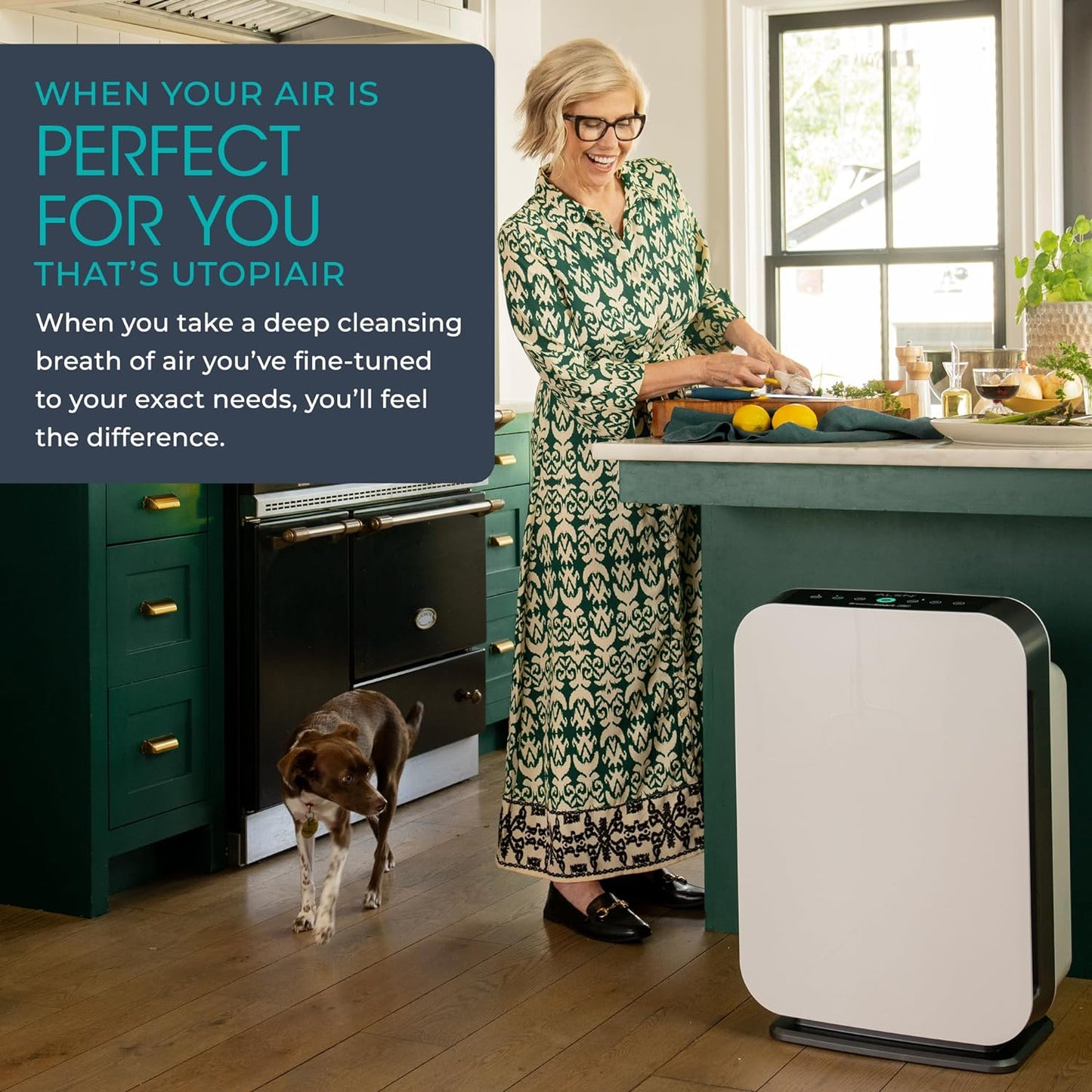 Air Purifier Breathesmart Flex HEPA With Voc/Smoke Filter
