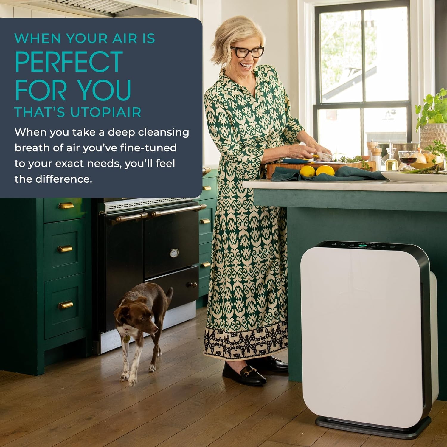 Air Purifier Breathesmart Flex HEPA With Voc/Smoke Filter