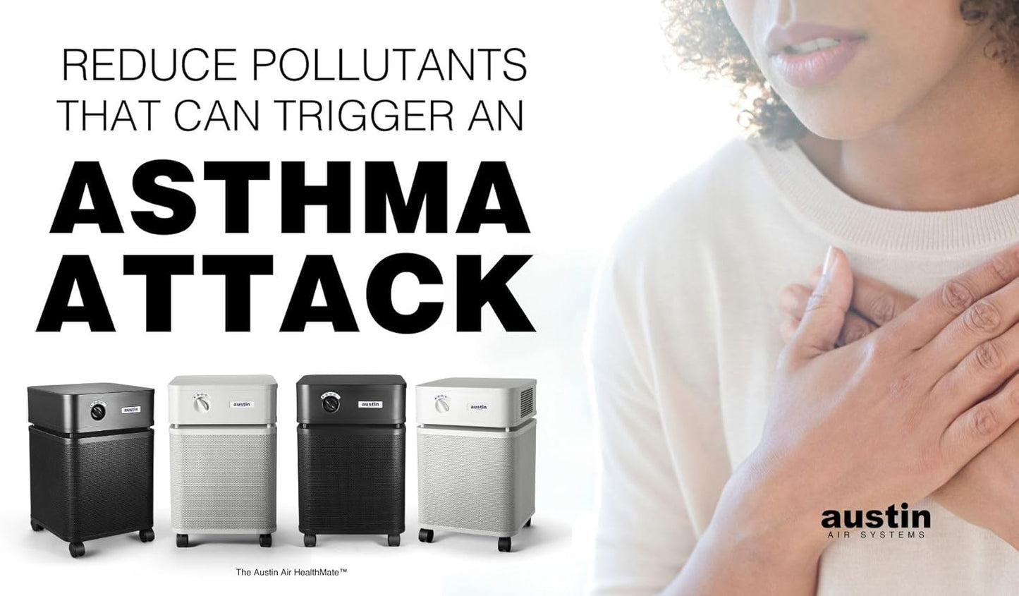 Healthmate Standard Air Purifier, Sandstone - Advanced 4- Stage Filtration Air Purifiers for Home with Activated Carbon & Zeolite - Ideal as Air Purifiers for Bedroom, Model B400